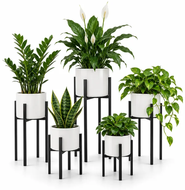 Five black metal plant stands with potted plants